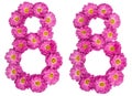 Arabic numeral 88, eighty eight, from flowers of chrysanthemum,