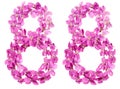 Arabic numeral 88, eighty eight, from flowers of viola, isolated