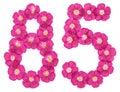Arabic numeral 85, eighty five, from pink flowers of flax, isolated on white background