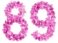 Arabic numeral 89, eighty nine, from flowers of viola, isolated