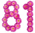 Arabic numeral 81, eighty one, from flowers of chrysanthemum, is