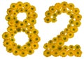 Arabic numeral 82, eighty two, from yellow flowers of buttercup, isolated on white background Royalty Free Stock Photo