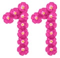 Arabic numeral 11, eleven, from pink flowers of flax, isolated on white background