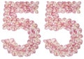 Arabic numeral 55, fifty five, from flowers of hydrangea, isolated on white background Royalty Free Stock Photo