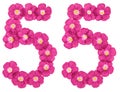 Arabic numeral 55, fifty five, from pink flowers of flax, isolated on white background Royalty Free Stock Photo