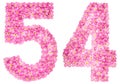 Arabic numeral 54, fifty four, from pink forget-me-not flowers,