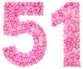 Arabic numeral 51, fifty one, from pink forget-me-not flowers, i