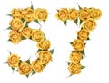 Arabic numeral 57, fifty seven, from yellow flowers of rose, iso