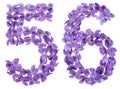 Arabic numeral 56, fifty six, from flowers of viola, isolated on