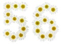 Arabic numeral 56, fifty six, from white flowers of chamomile, i