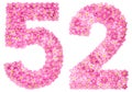 Arabic numeral 52, fifty two, from pink forget-me-not flowers, i