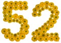 Arabic numeral 52, fifty two, from yellow flowers of buttercup, Royalty Free Stock Photo