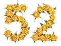 Arabic numeral 52, fifty two, from yellow flowers of rose, isolated on white background Royalty Free Stock Photo