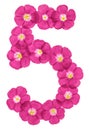 Arabic numeral 5, five, from pink flowers of flax, isolated on white background Royalty Free Stock Photo