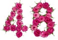 Arabic numeral 48, forty eight, from red flowers of rose, isolated on white background Royalty Free Stock Photo