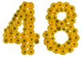 Arabic numeral 48, forty eight, from yellow flowers of buttercup