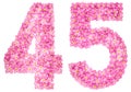 Arabic numeral 45, forty five, pink forget-me-not flowers, isola