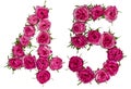 Arabic numeral 45, forty five, from red flowers of rose, isolate Royalty Free Stock Photo