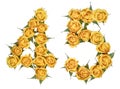 Arabic numeral 45, forty five, from yellow flowers of rose, isolated on white background Royalty Free Stock Photo