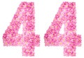 Arabic numeral 44, forty four, from pink forget-me-not flowers,