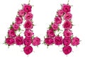 Arabic numeral 44, forty four, from red flowers of rose, isolate Royalty Free Stock Photo