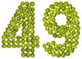 Arabic numeral 49, forty nine, from green peas, isolated on whit Royalty Free Stock Photo