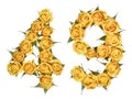 Arabic numeral 49, forty nine, from yellow flowers of rose, isolated on white background