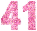 Arabic numeral 41, forty one, from pink forget-me-not flowers, i