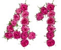 Arabic numeral 41, forty one, from red flowers of rose, isolated Royalty Free Stock Photo