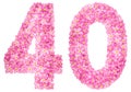 Arabic numeral 40, forty, from pink forget-me-not flowers, isola