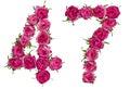 Arabic numeral 47, forty seven, from red flowers of rose, isolated on white background Royalty Free Stock Photo