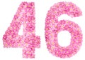 Arabic numeral 46, forty six, from pink forget-me-not flowers, i