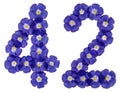 Arabic numeral 42, forty two, from blue flowers of flax, isolate