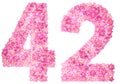 Arabic numeral 42, forty two, from pink forget-me-not flowers, i