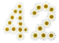 Arabic numeral 42, forty two, from white flowers of chamomile, i