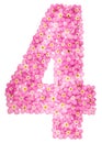 Arabic numeral 4, four, from pink forget-me-not flowers, isolate