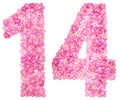 Arabic numeral 14, fourteen, from pink forget-me-not flowers, is