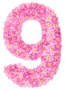 Arabic numeral 9, nine, pink forget-me-not flowers, isolated on