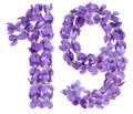 Arabic numeral 19, nineteen, from flowers of viola, isolated on