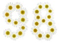 Arabic numeral 98, ninety eight, from white flowers of chamomile