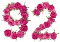 Arabic numeral 92, ninety two, from red flowers of rose, isolate