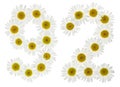 Arabic numeral 92, ninety two, from white flowers of chamomile,