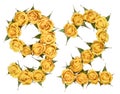 Arabic numeral 92, ninety two, from yellow flowers of rose, isolated on white background Royalty Free Stock Photo