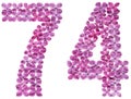 Arabic numeral 74, seventy four, from flowers of lilac, isolated