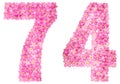 Arabic numeral 74, seventy four, from pink forget-me-not flowers