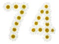 Arabic numeral 74, seventy four, from white flowers of chamomile