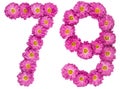 Arabic numeral 79, seventy nine, from flowers of chrysanthemum,