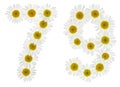 Arabic numeral 79, seventy nine, from white flowers of chamomile