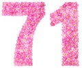 Arabic numeral 71, seventy one, from pink forget-me-not flowers,