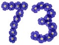 Arabic numeral 73, seventy three, from blue flowers of flax, iso